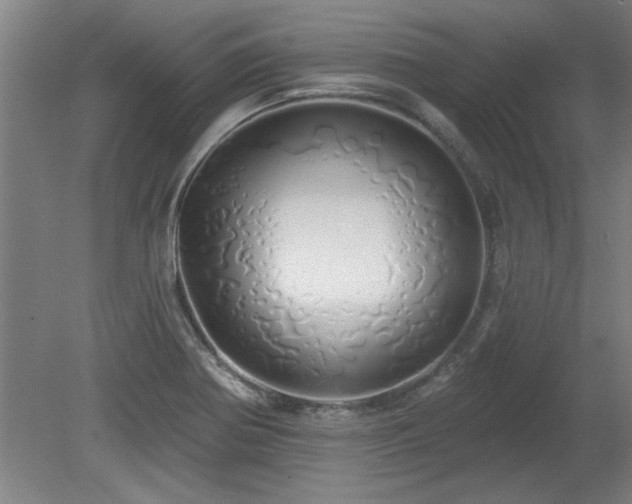 X0000078831370200611131112