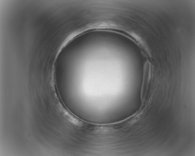 X0000078831374200611131112