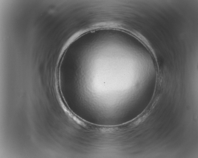 X0000078831389200611131111