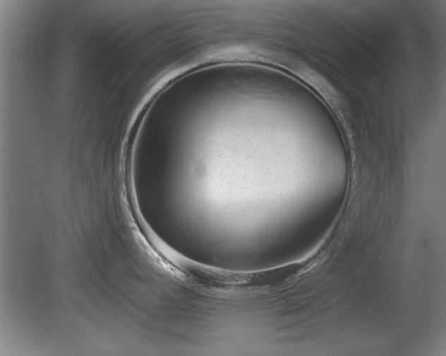 X0000078831392200611131111