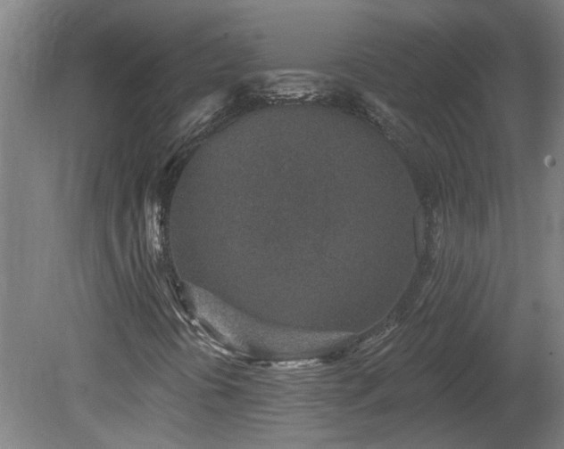 X0000078831394200611131111