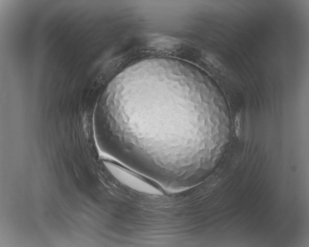 X0000078831395200611131111