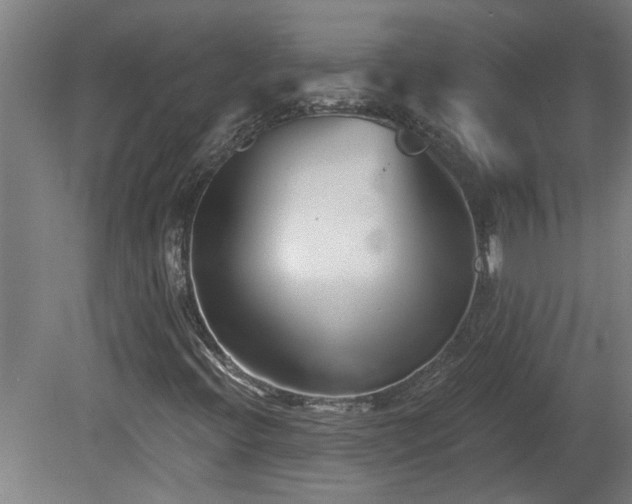 X0000078831396200611131111