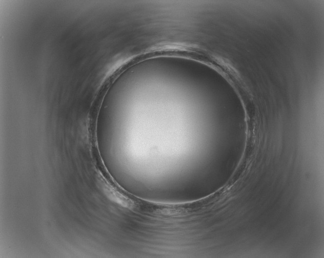 X0000078831404200611131111