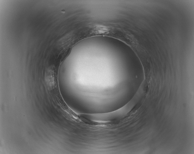 X0000078831442200611131111