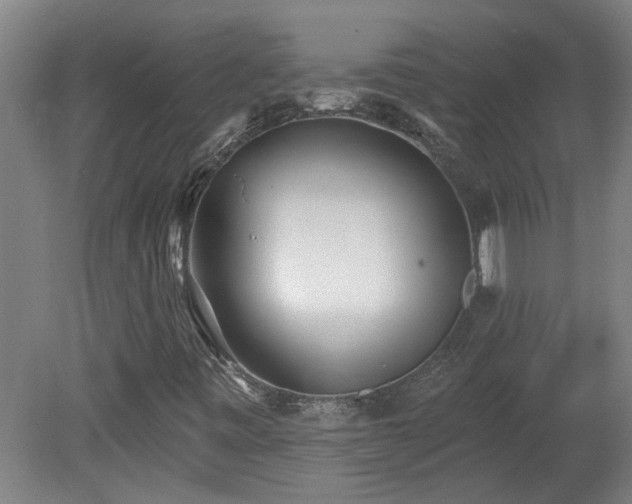 X0000078831443200611131111