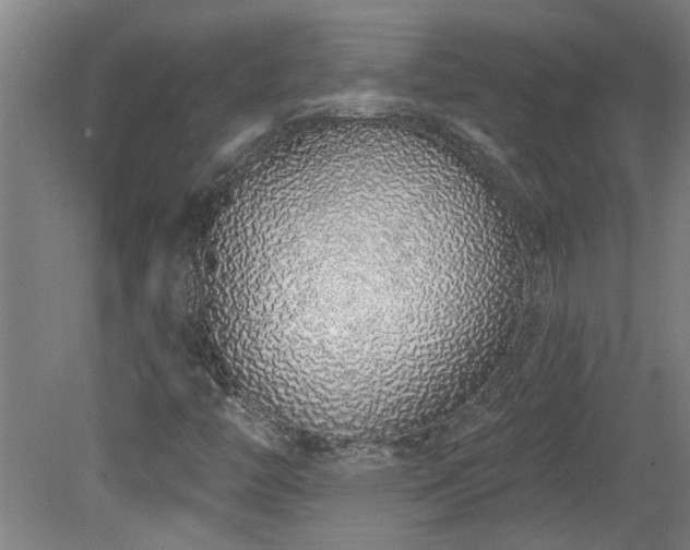 X0000078831446200611131110