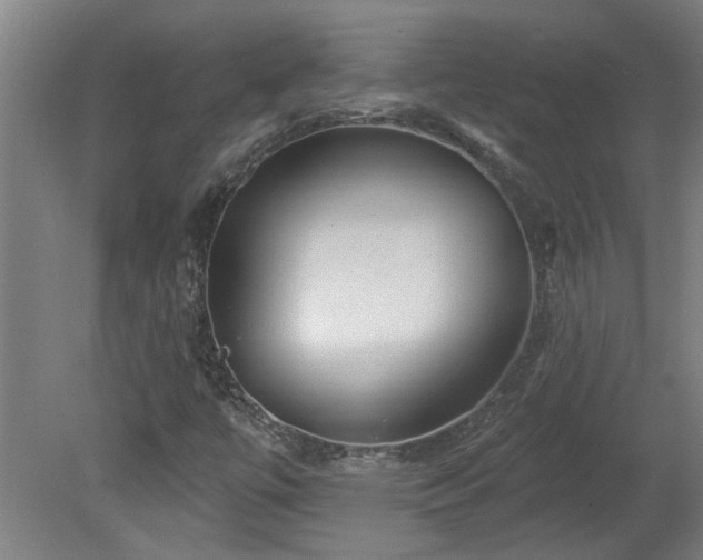 X0000078831447200611131110