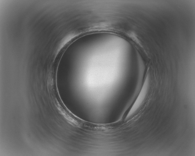 X0000078831458200611131110