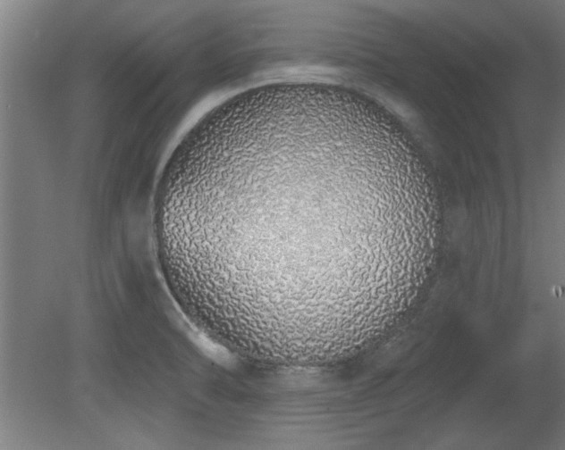 X0000078831470200611131110