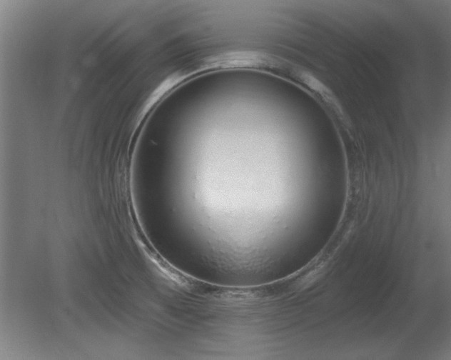 X0000078831473200611131110