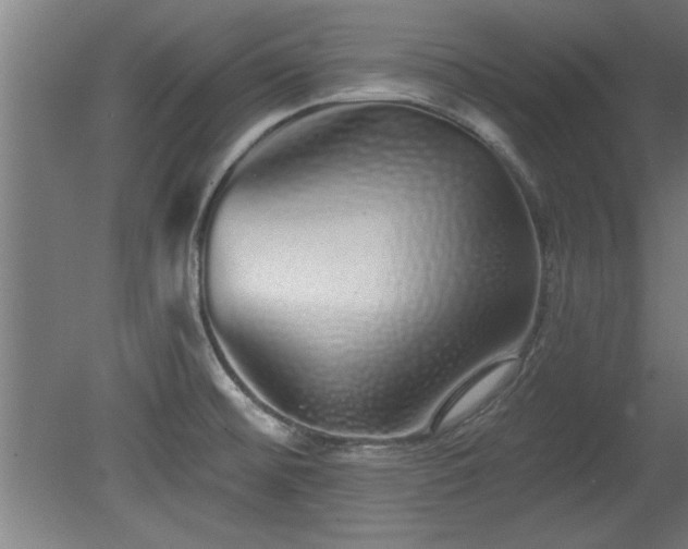 X0000078831476200611131110