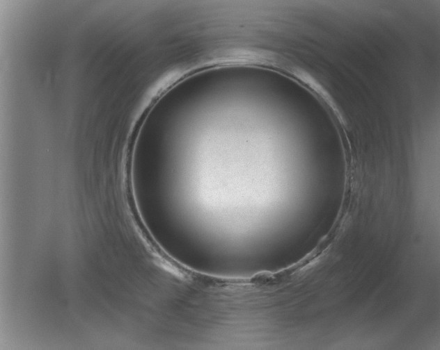 X0000078831477200611131110