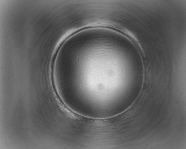 X0000078831480200611131110