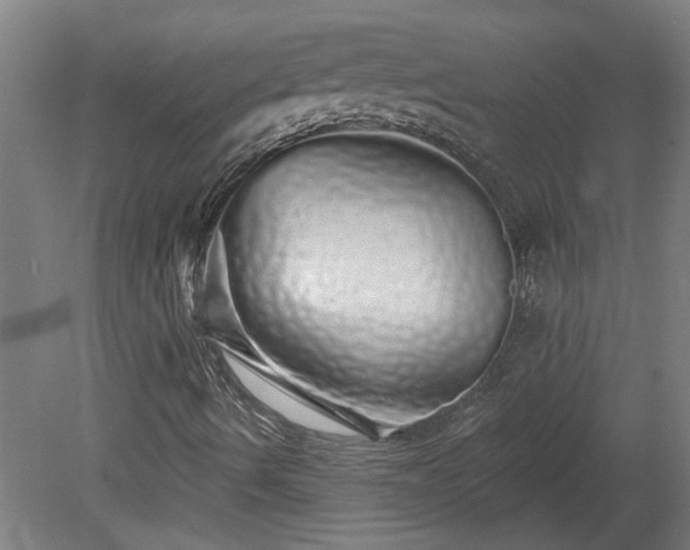 X0000078831490200611131109