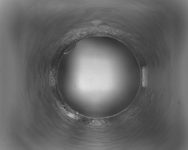 X0000078831491200611131109