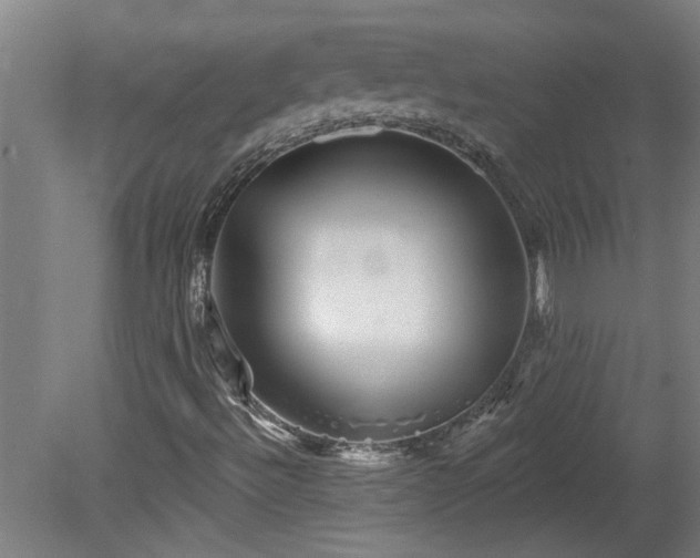 X0000078831492200611131109