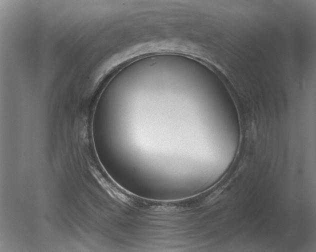 X0000078831499200611131109