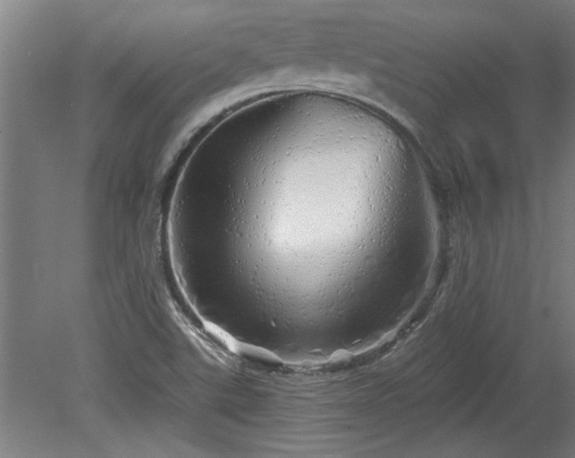 X0000078831507200611131109