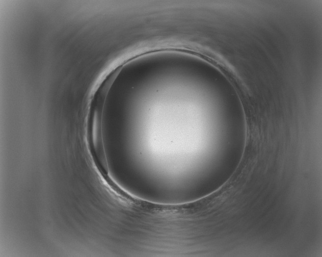 X0000078831512200611131109