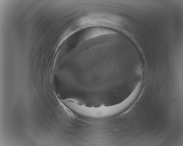 X0000078831529200611131110