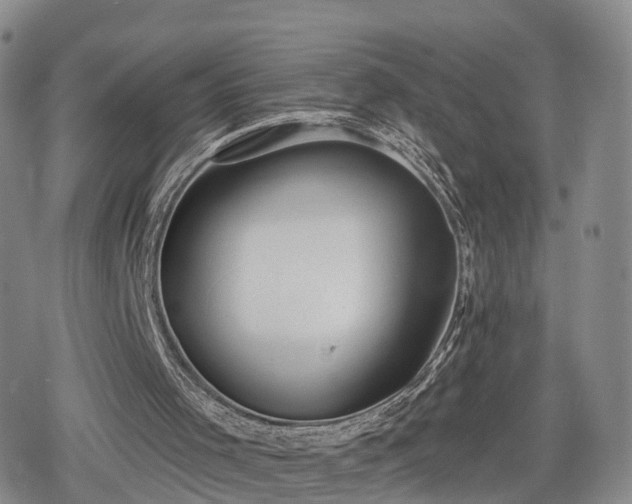 X0000078830001200611201300