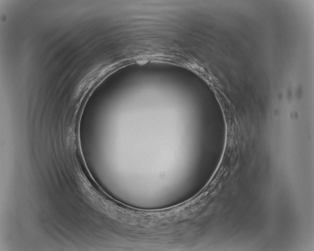 X0000078830002200611201300