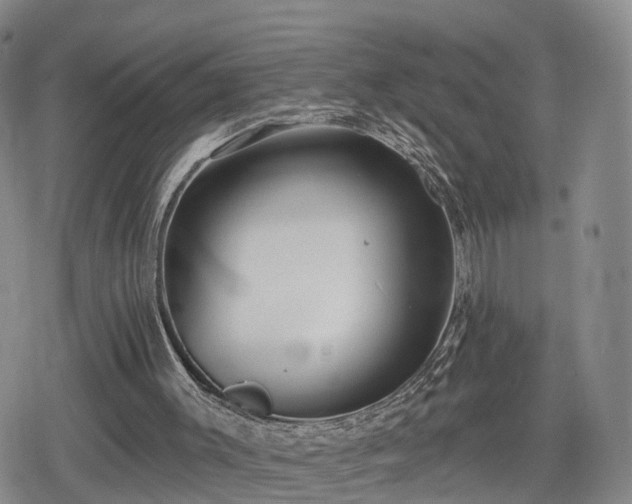 X0000078830003200611201300