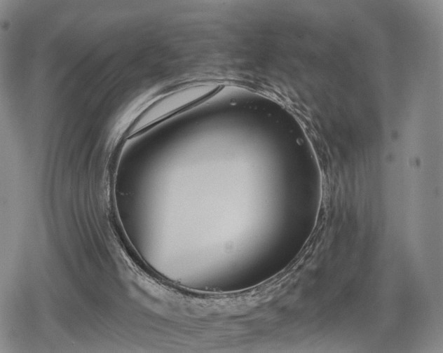 X0000078830005200611201259