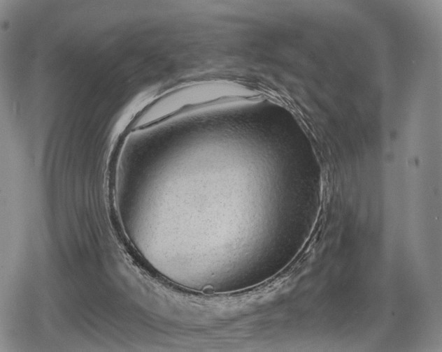 X0000078830006200611201259