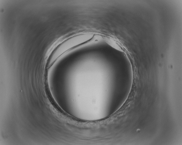 X0000078830007200611201259