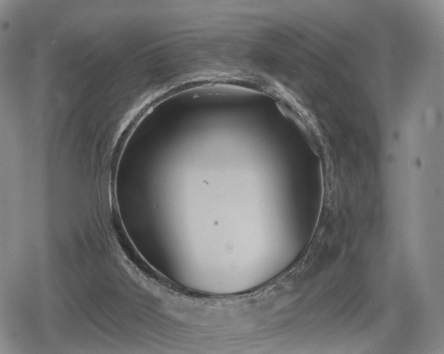 X0000078830011200611201259