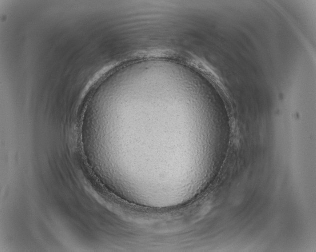 X0000078830012200611201259