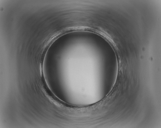 X0000078830013200611201259