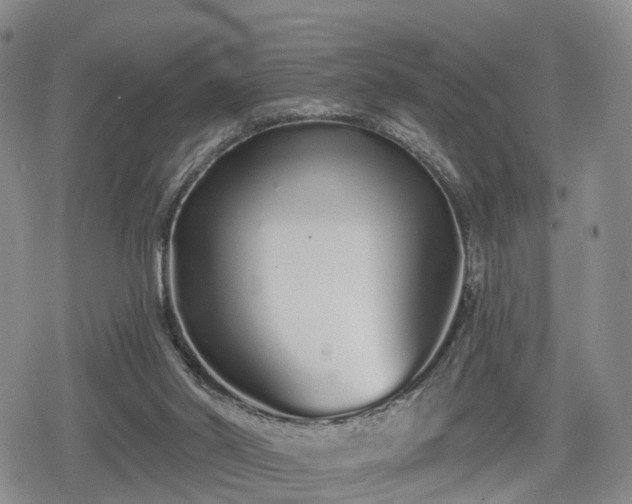 X0000078830014200611201259