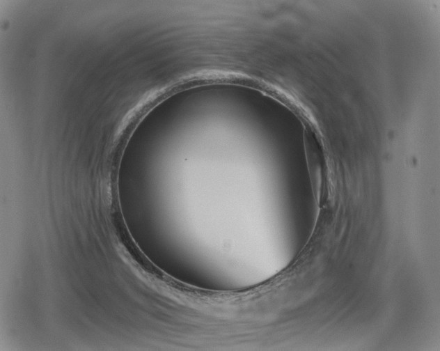 X0000078830015200611201259