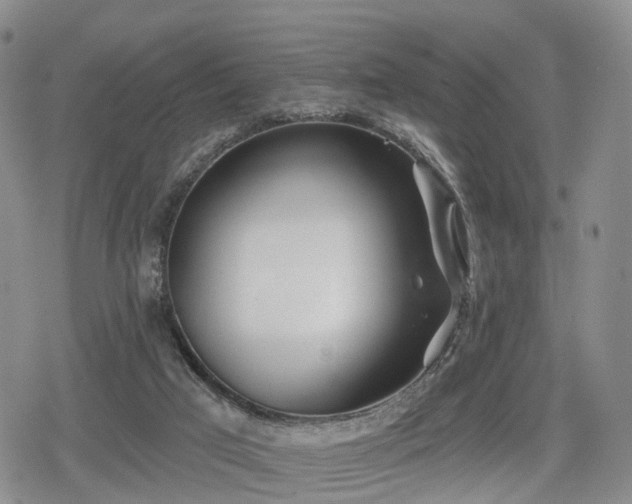 X0000078830017200611201259