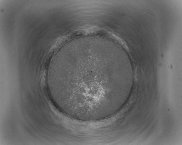 X0000078830018200611201259