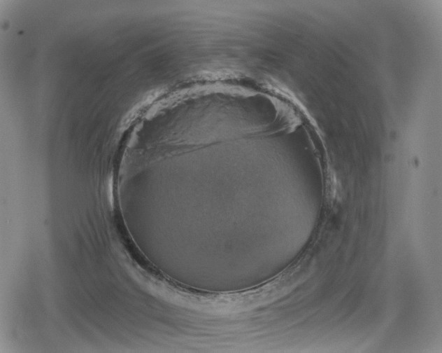 X0000078830019200611201259