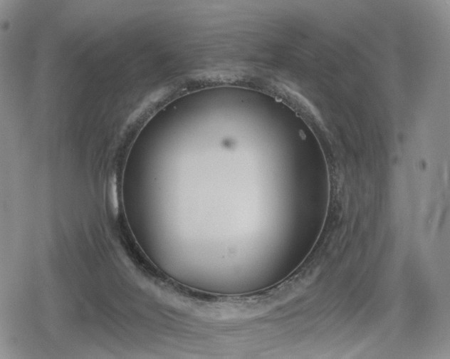 X0000078830020200611201259