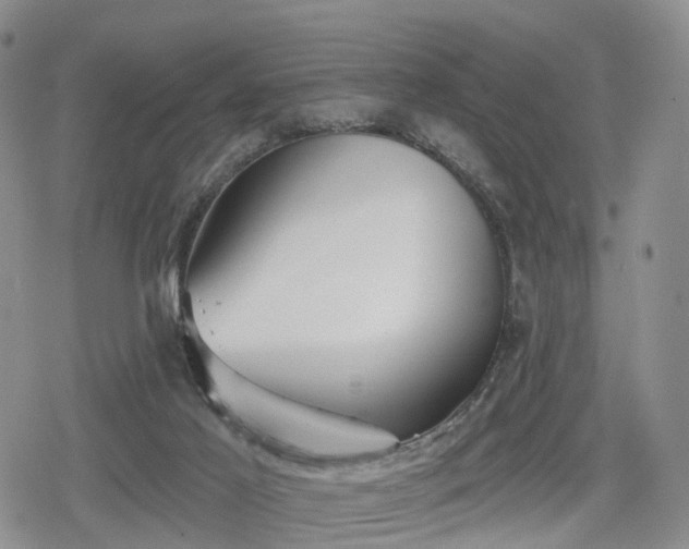 X0000078830021200611201259