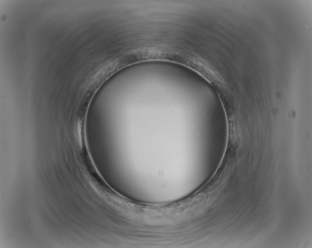 X0000078830022200611201259