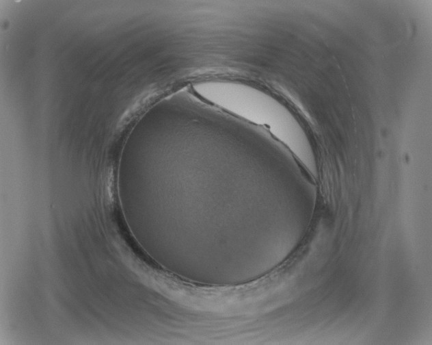 X0000078830023200611201259