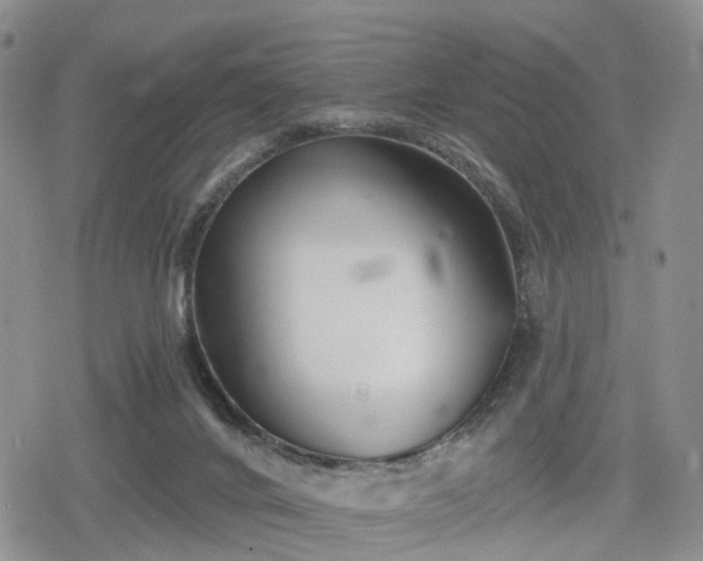 X0000078830024200611201259