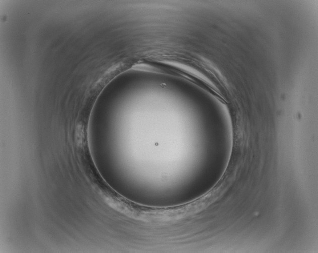 X0000078830025200611201259