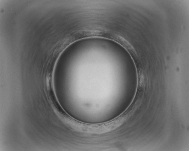 X0000078830026200611201259