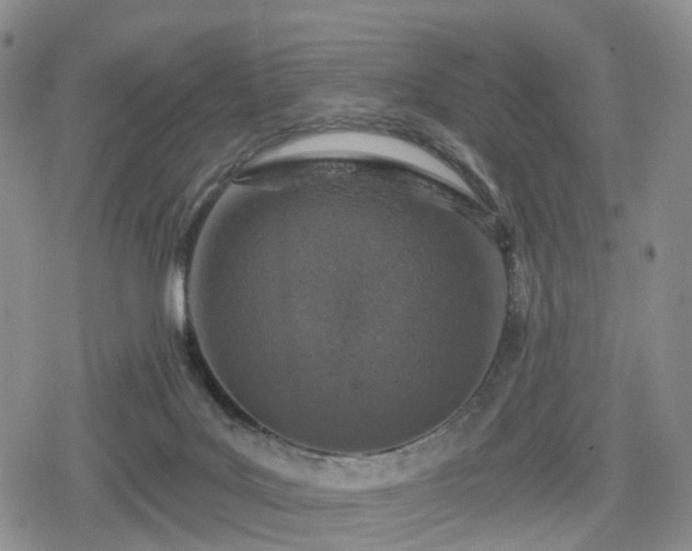 X0000078830027200611201259