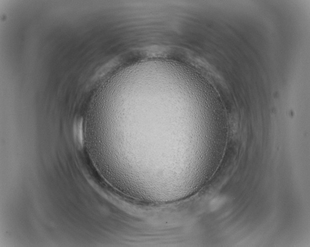 X0000078830028200611201259