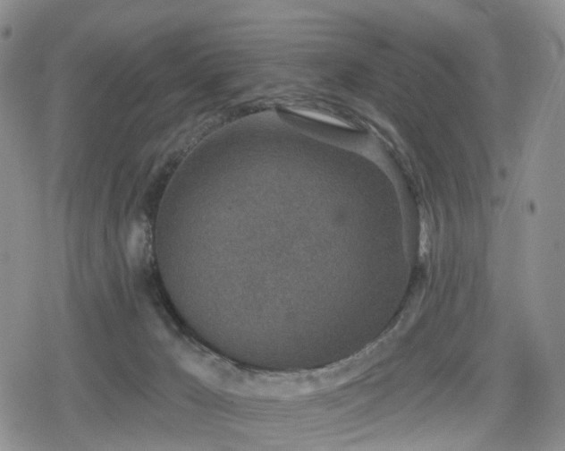 X0000078830029200611201259