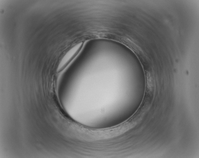 X0000078830030200611201259